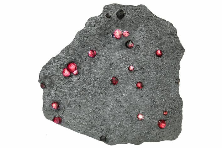 Plate of + Red Embers Garnets in Graphite - Massachusetts #301208